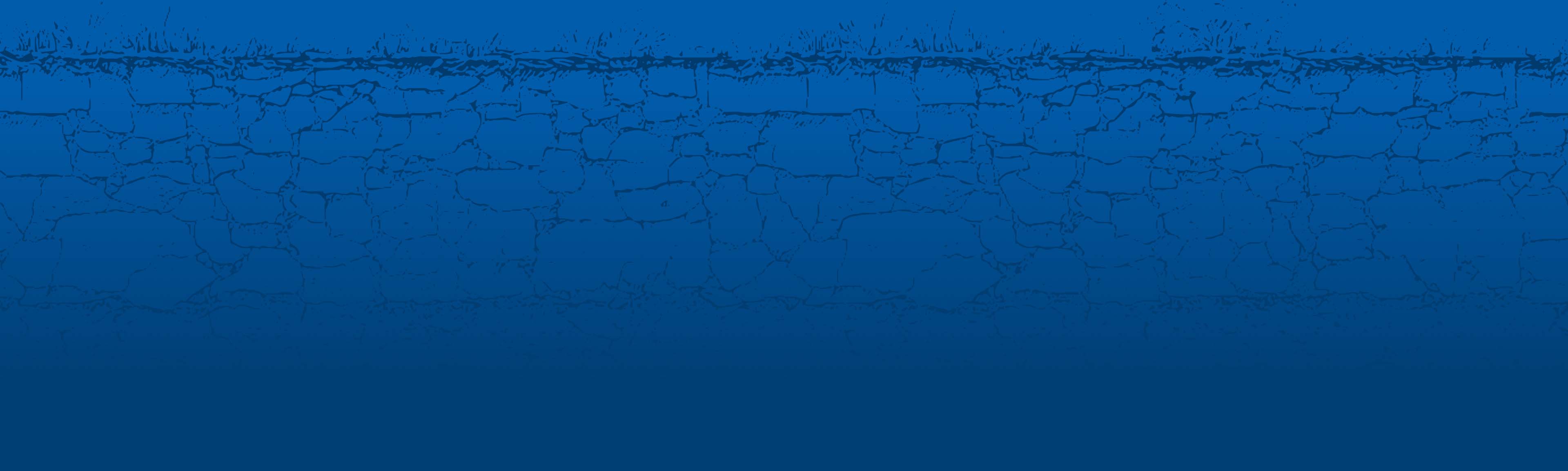 A light blue background texture.